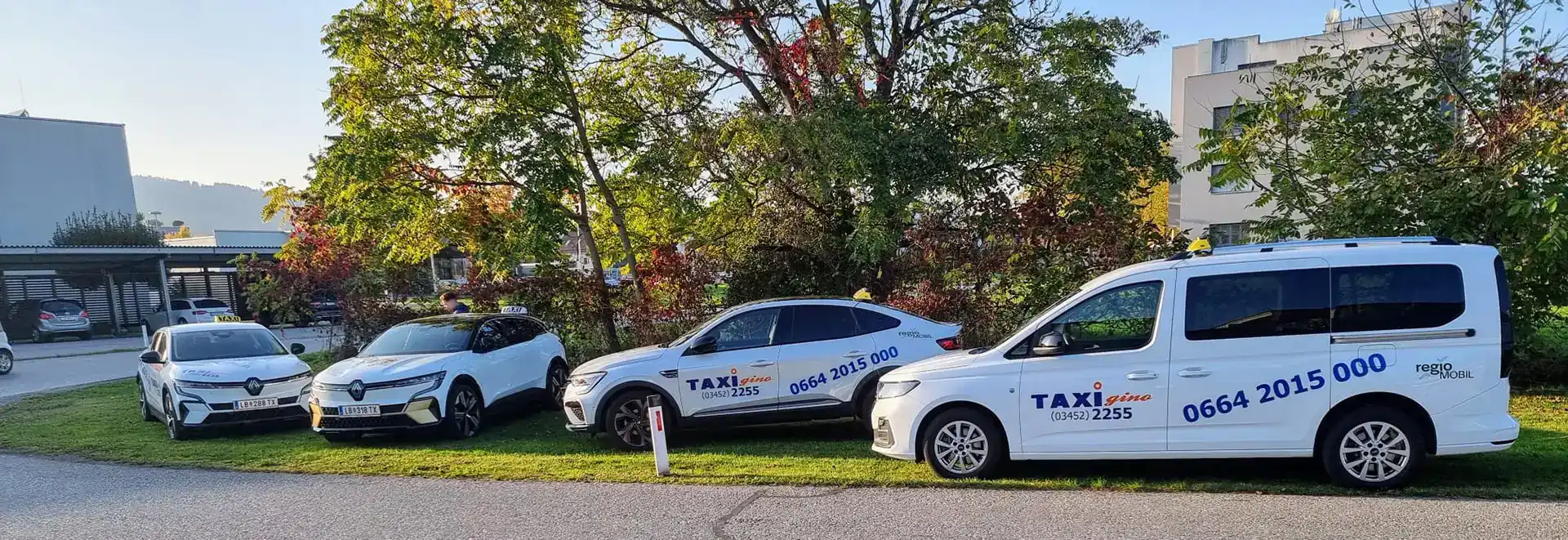 Flotte von Taxi Gino